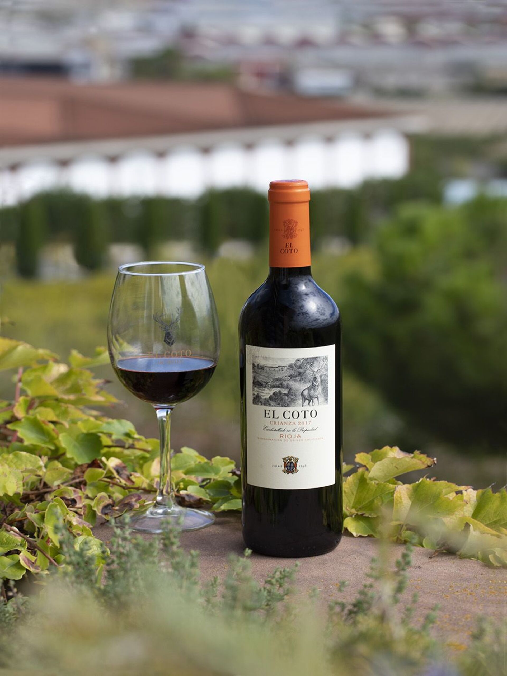 Vino